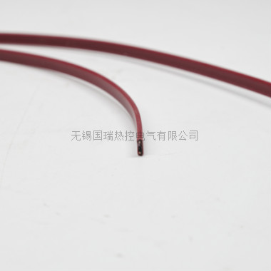 自控溫電伴熱帶(可用于儀表)