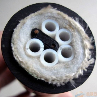 采樣伴熱管線(CEMS煙氣采樣)