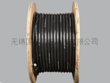采樣伴熱管線(xiàn)(CEMS煙氣采樣)